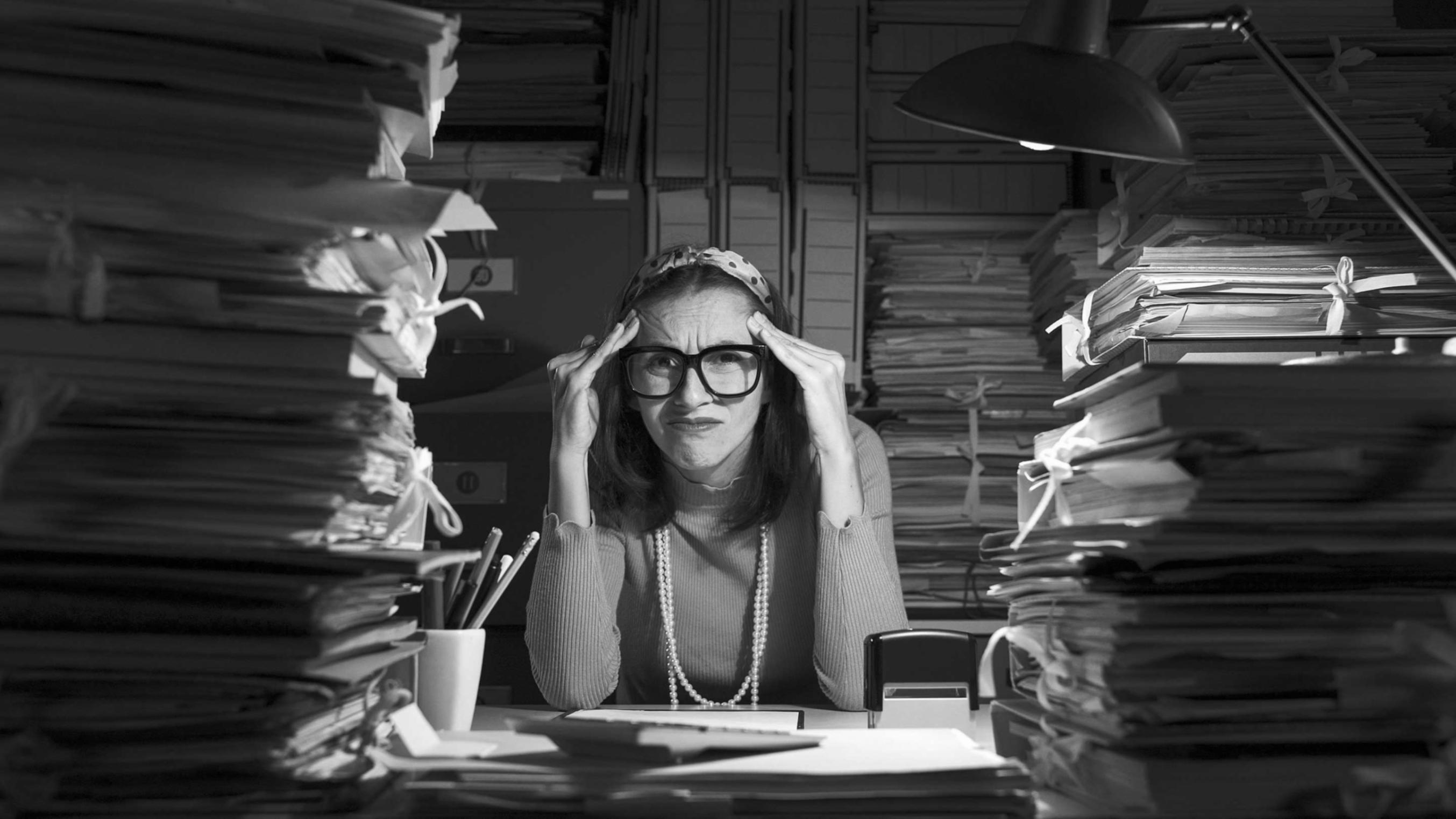 Participant analysant des métriques de backlinks